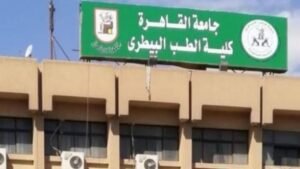 تنسيق الطب البيطري