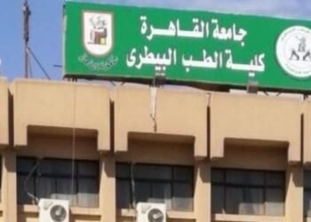 تنسيق الطب البيطري