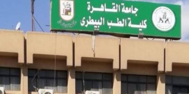 تنسيق الطب البيطري