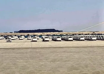 خلال 48 ساعة.. استقبال سفينتي دحرجة سيارات بمينائي شرق وغرب بورسعيد