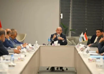 وزير الاستثمار
