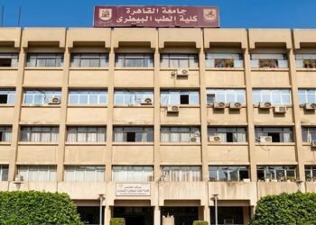 طب بيطري المرحلة الثانية 2026