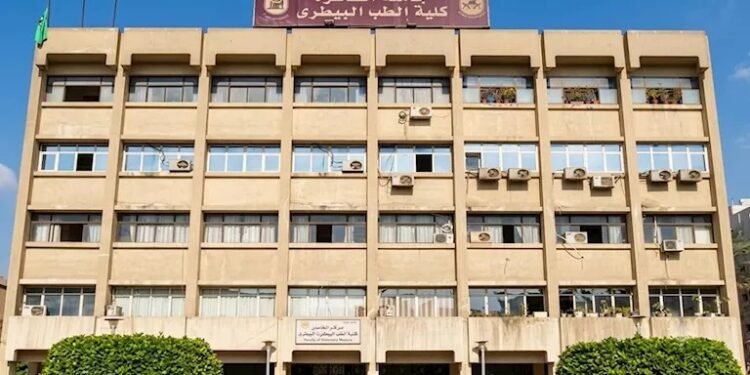 طب بيطري المرحلة الثانية 2026