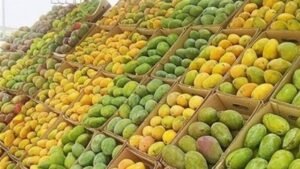 أسعار الفاكهة اليوم