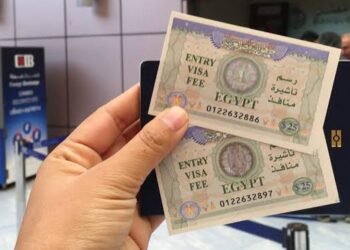 التأشيرة الإلكترونية