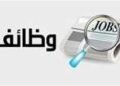 وظائف وزارة العمل 2026.. فرص جديدة برواتب تصل إلى 9500 جنيه