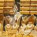 سعر الذهب اليوم