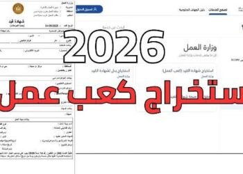 كعب العمل 2026.. خطوات الاستخراج إلكترونيًا والأوراق المطلوبة لذوي الإعاقة