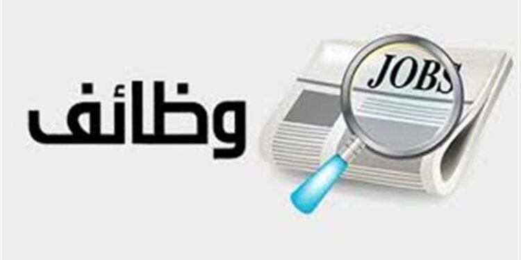 وظائف التضامن الاجتماعي بالغربية 2026.. 3 فرص قيادية وموعد التقديم