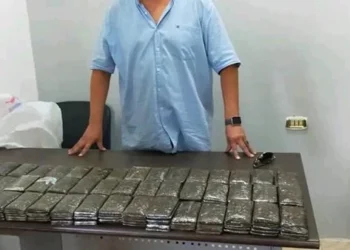 إحباط تهريب 280 فرش حشيش داخل شاحنة بميناء نويبع.. تفاصيل الواقعة