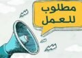 2300 فرصة عمل في محطة الضبعة النووية برواتب تصل لـ40 ألف جنيه.. اعرف التخصصات وطريقة التقديم