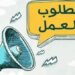 2300 فرصة عمل في محطة الضبعة النووية برواتب تصل لـ40 ألف جنيه.. اعرف التخصصات وطريقة التقديم