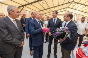 صندوق تحيا مصر 