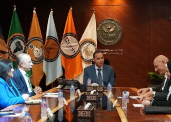 الرقابة المالية