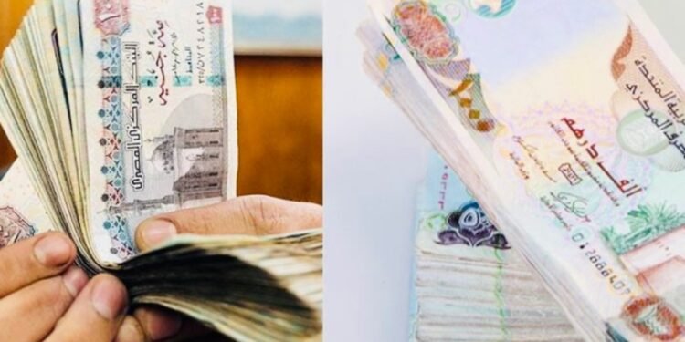 5 مليارات درهم بين مصر والإمارات.. خطوة جديدة تفتح أبوابًا أوسع للتجارة والاستثمار