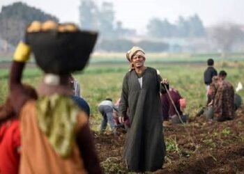 عيد الفلاح 2026.. تعرف على هدايا ومزايا البنوك المجانية للعملاء