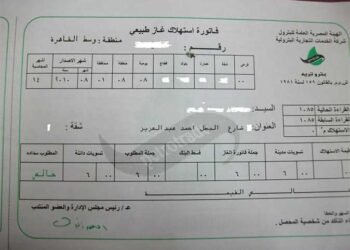 طرق سداد فاتورة الغاز المنزلي لشهر سبتمبر 2026.. خطوات الاستعلام والدفع