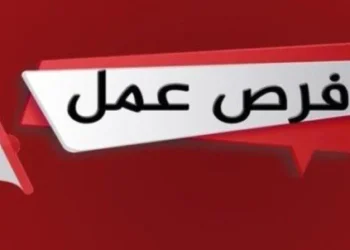 وظائف وزارة العمل