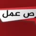 وظائف وزارة العمل