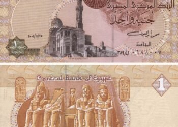 تعويم الجنيه.. ماذا يعني وكيف يؤثر على أسعار السلع والدولار؟