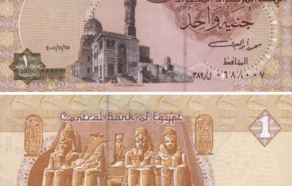 تعويم الجنيه.. ماذا يعني وكيف يؤثر على أسعار السلع والدولار؟