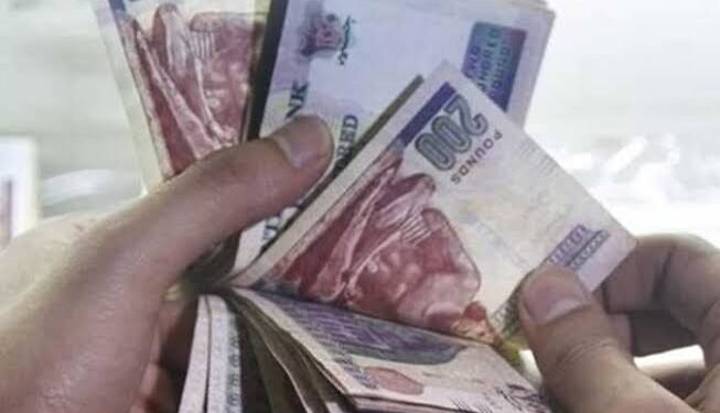 تحوش 5 آلاف جنيه كل شهر؟.. حساب مدخراتك بعد 5 سنوات