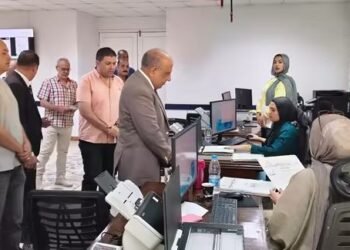 وزير الكهرباء