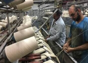 تراخيص المشروعات الصغيرة
