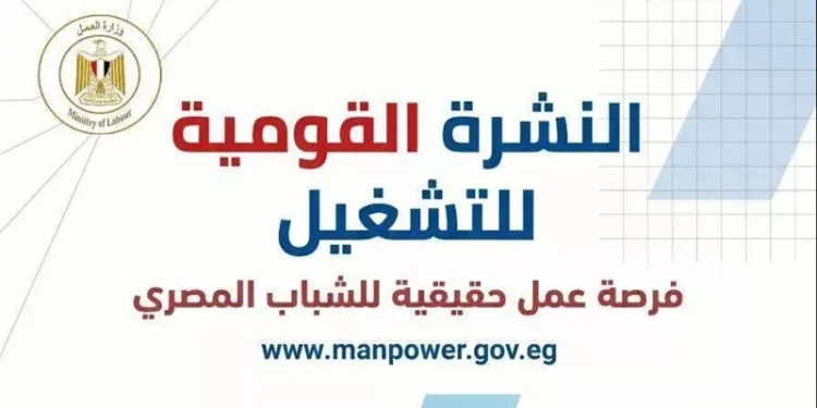 وزارة العمل تعلن 6349 فرصة عمل جديدة في 11 محافظة.. تعرف على الوظائف وطرق التقديم
