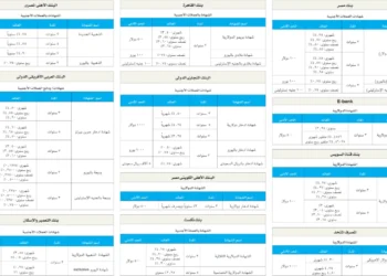 بعد رفع الفائدة الأمريكية.. تفاصيل أعلى عوائد شهادات الدولار في مصر