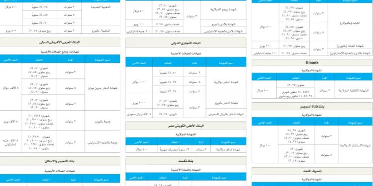 بعد رفع الفائدة الأمريكية.. تفاصيل أعلى عوائد شهادات الدولار في مصر