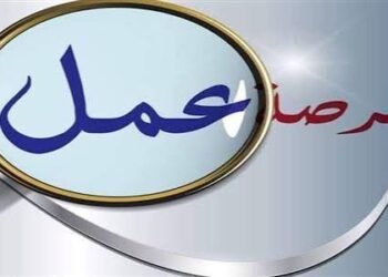 توفير 2541 فرصة عمل في 16 محافظة.. تعرف على طريقة التقديم