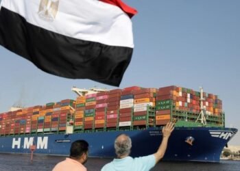 1.1 مليار دولار.. التبادل التجاري بين مصر ودول النيباد خلال 7 أشهر