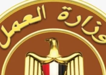 فرص عمل للشباب في مشروع الضبعة 2026.. سكن ووجبات ورواتب تصل إلى 25 ألف جنيه